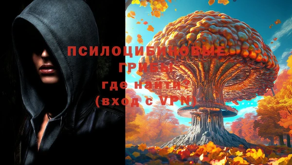 МДПВ Ладушкин
